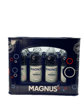 Magnus Medium 12 x 0.7l Glas