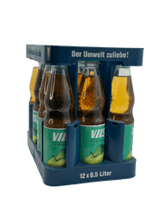 Vilsa Apfelschorle 12 x 0.5l PET